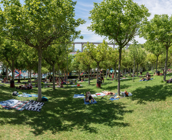 Area Verde
